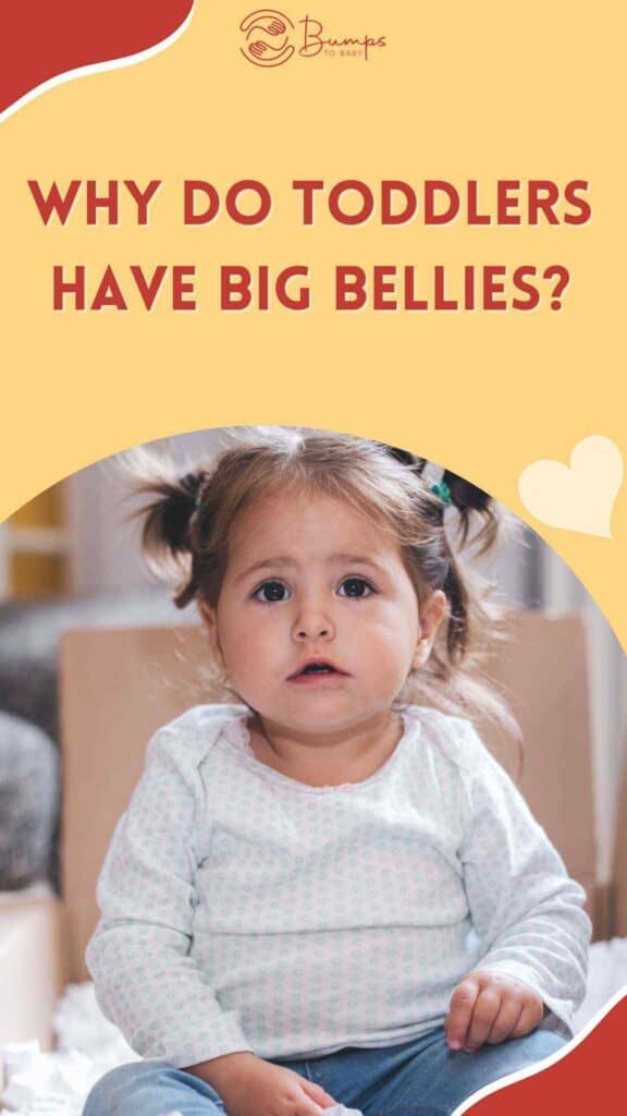 Why Do Toddlers Have Big Bellies
